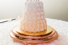 07-Kim  Brent-Reception-034