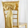 Champagne Satin Sashes