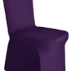 Eggplant Scuba Cover