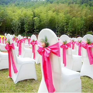 Scuba Chair Covers