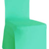 Tiffany Scuba Cover